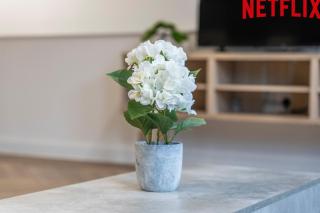 Lockside Haven - Stylish Canal-Side Retreat - 7