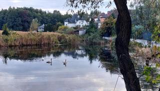Коттеджный городок Вита -литовская, Голосеевский район, Динамо, Конча-Заспа - Kyiv - 5