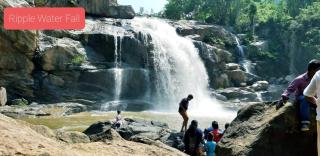 Himadri munnar holidays - 2