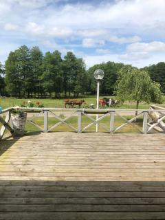 Stegemans Horse hotel and Country Lodge - 9