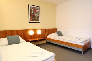 Hotel Maxim - 8