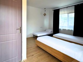 Pensiunea Merele de Aur - 4