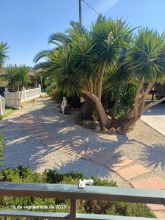 Cortijo del carmen - 2