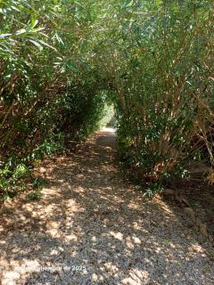 Cortijo del carmen - 1