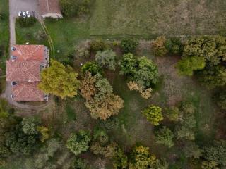 Domaine De Mathabiau - 4