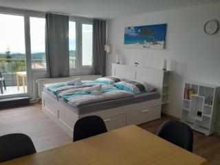 Ferienwohnung Marina in Sankt Englmar, Bayerischer Wald, familienfreundlich - 6