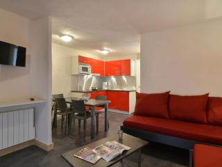 Appartement rénové lumineux 2P, proche pistes, anim. admis - FR-1-181-1994 - 0