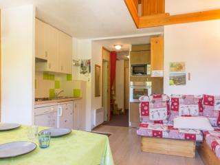 Duplex lumineux proche pistes, 8 pers, balcon - FR-1-181-2496 - 0