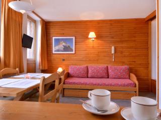 Studio confortable, ski aux pieds, 3/4 pers, vue vallée - FR-1-181-2781 - 2