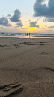 Coconut tree cafe Gokarna - 8
