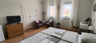 City Inn Szigetvar - 8