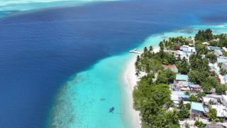 Feeali Buddies Inn -  - 5