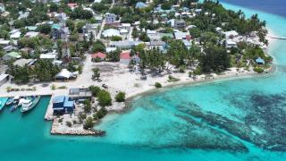 Feeali Buddies Inn -  - 1