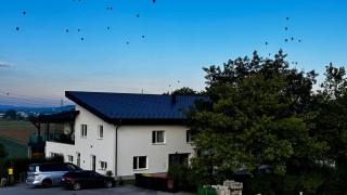 Bergland - 6