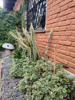 Noah House Ezeiza - 6