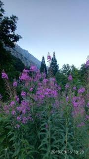 Tiziana House - 4