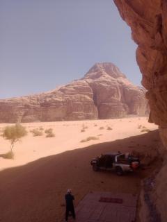 wadi rum Desert life - 1