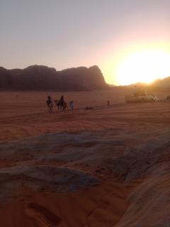 Wadi Rum Desert Life - 6