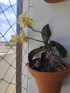 Refúgio pôr do sol Fe - 1