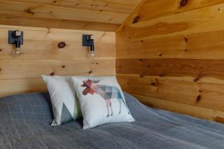 Cabin N1 Les Grand'Pares Lake view Jacuzzi - 1
