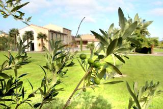 Domaine des Marronniers - 3