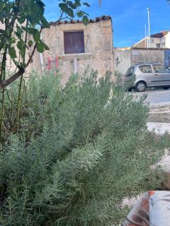 La Rosa dei Monti Iblei 1 - 5