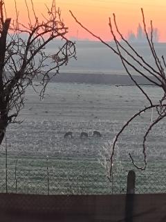 Évasion Relaxante 4 personnes Spa, sauna et calme - 1