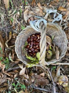 Vintage cottage-style cottage near the park - 5