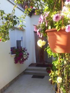 Apartments Žegarac House - Korenica - 1