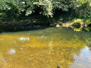 Tresarrett Manor - 1