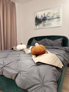 Serenity Oasis 2 - 1