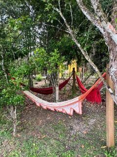 Sitio Bangue - 2
