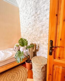 Anker Surf House - 6