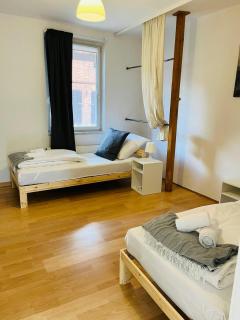 Central and Spacious Apartment for 8 - 9