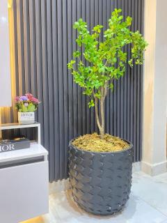 1 Bedroom Apt Sabolak Suites Bluewater - 2