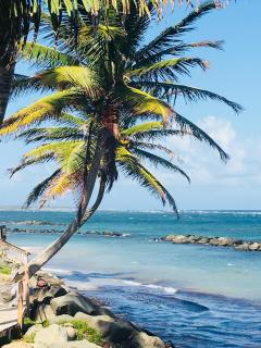 Spacious 2-Bedroom, 2-Bath Apartment 5 Mins to Sandy Beach & Airport - 6