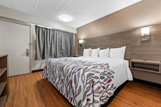 Red Roof Inn Columbus West - Hilliard - 6