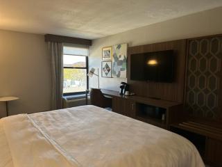 Holiday Inn Roanoke - Tanglewood Route 419 & I 581 by IHG - 1