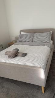 Campus & Coop Cozy Terrace - 6