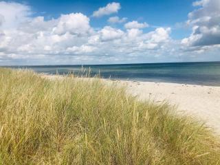 Seaside Serenity in Marielyst - 1