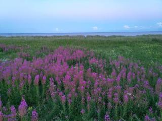 Seaside Serenity in Marielyst - 2
