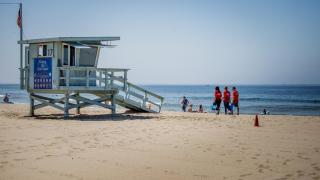 Walk to Santa Monica Beach & Pier I Free Parking! - 1