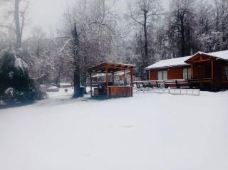 Cabañas simple Pucon - 9