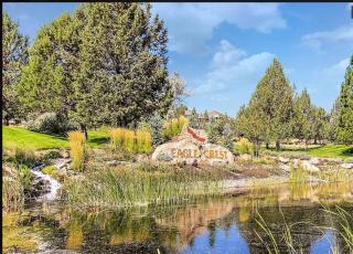 Present Pheasant home - 7