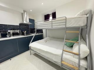 Cosy Paddington Apartments - 2