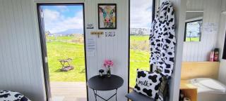 Taranaki Creekside KIWI by Tiny Away - 4