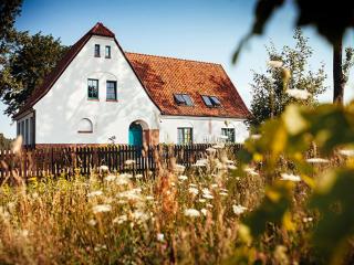 Stara Szkoła Browina - Browina - 6