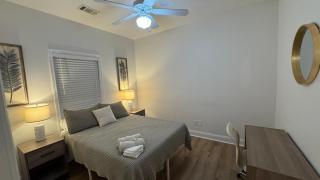 Pet-Friendly Happy Space - 5