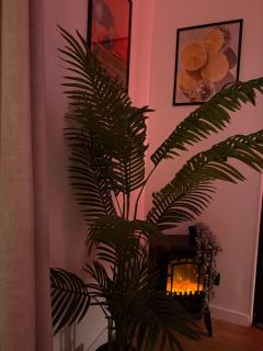 Appartement jacuzzi d'exception - proche Paris - 6