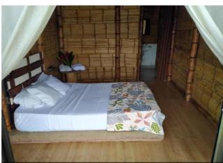 Eco Ortalis Villeta - 2